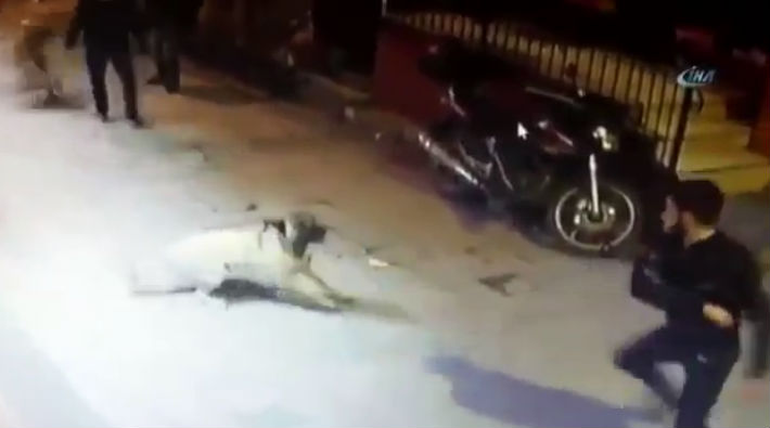 Taksim'de sokak köpeğine saldırıp bıçakladılar!