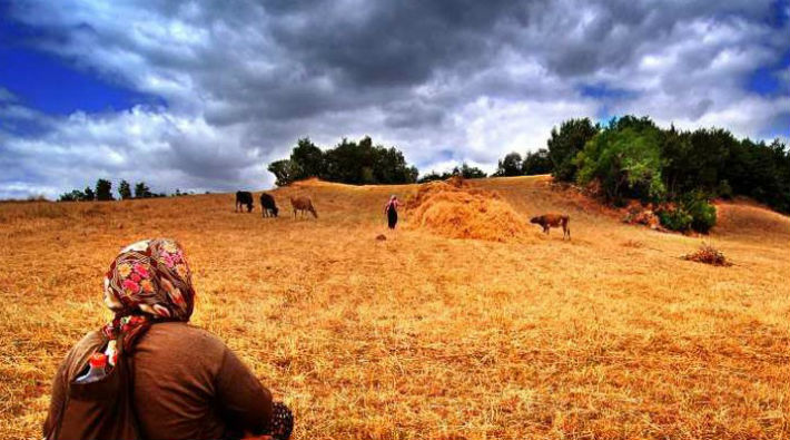 Türkiye'de tarım adım adım nasıl yok edildi?