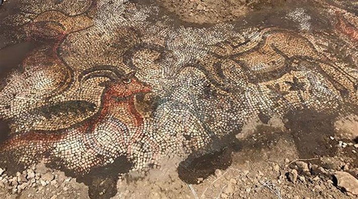 Tarlada çalışan işçiler Roma dönemine ait 1600 yıllık mozaik buldu
