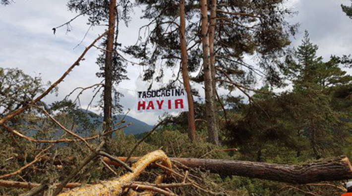 Ayman Yaylasında taş ocağı için 1500 ağaç kesilecek, köylüler eylemde