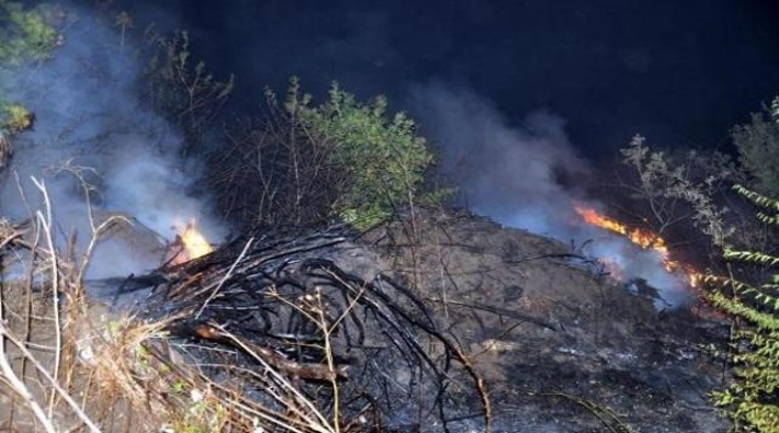 Tekirdağ'da orman yangını: 200 dönümlük alan kül oldu