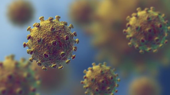 Brezilya’da koronavirüsün yeni bir varyantına rastlandı  
