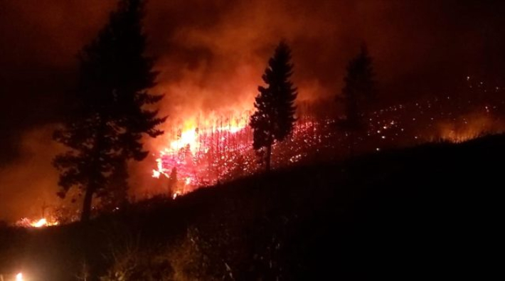 Trabzon'da 37 ayrı noktada orman yangını: 7'si hala kontrol altına alınamadı