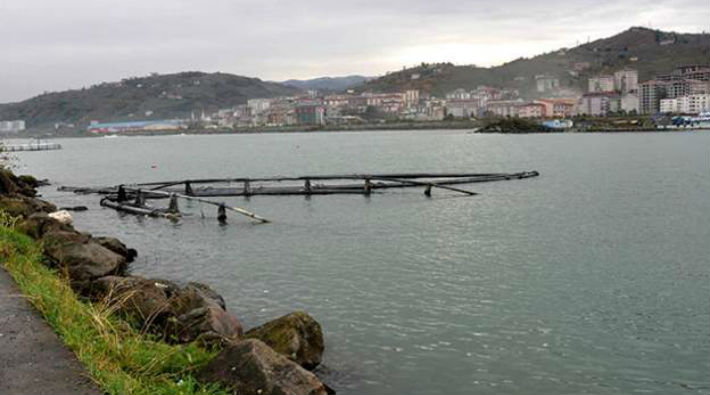 Trabzon'da denizi doldurup golf sahası yapacaklar