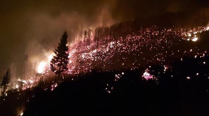 Trabzon'da orman yangını: 'Yangın yayılarak devam ediyor!'
