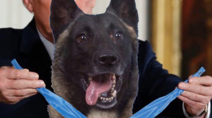 Trump, Photoshop becerisi ile Bağdadi operasyonuna katılan köpeğe madalya taktı!