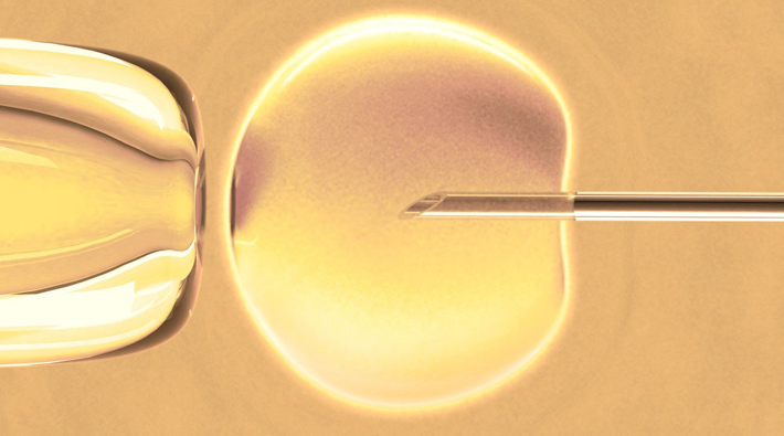 Tüp bebek tedavisinde embriyonları kayboldu