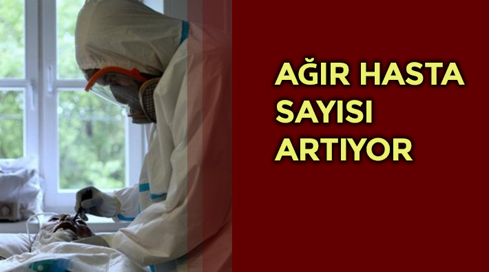 Türkiye'de koronavirüs nedeniyle son 24 saatte 56 kişi hayatını kaybetti
