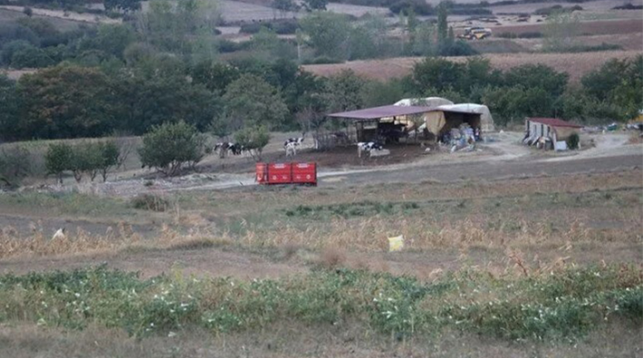 Edirne’de 8 köyde kırmızı alarm: 'Mavi dil’ karantinası başlatıldı