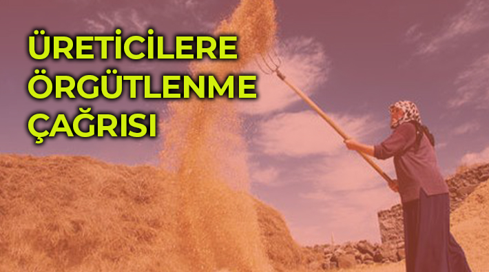 Üreticiler ve uzmanlar yanıtladı: Buğday, arpa ve mısır ithalatında gümrük vergileri neden sıfırlandı?