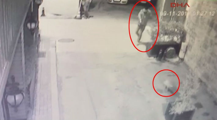 Üsküdar'da maganda dehşeti: Kediye ateş etti