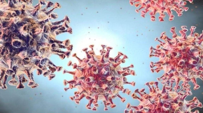 Resmi verilere göre koronavirüs nedeniyle son 24 saatte 194 kişi yaşamını yitirdi