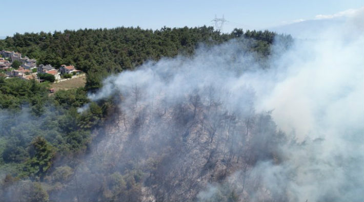 Mudanya'da Orman Yangını!