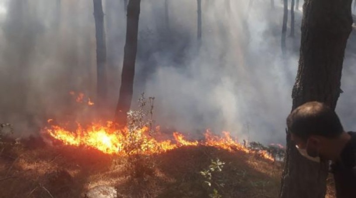 Maltepe'de ormanlık alanda yangın