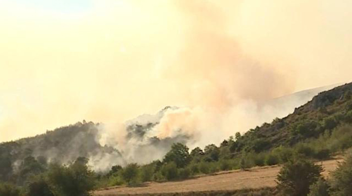 Ankara Çubuk'taki orman yangını kontrol altına alındı