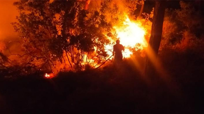Bodrum’da 2 noktada yangın çıktı