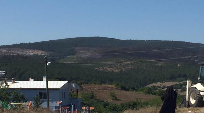 CHP'li Kayışoğlu'ndan Bursa'daki orman yangınları için soru önergesi