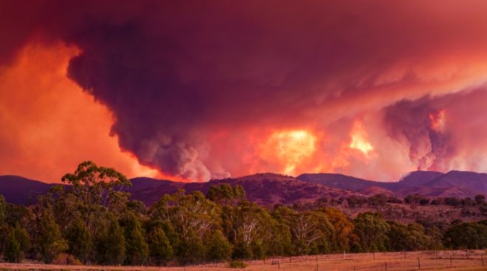 Yangınlar devam ediyor: Avustralya'nın başkentinde olağanüstü hâl ilan edildi