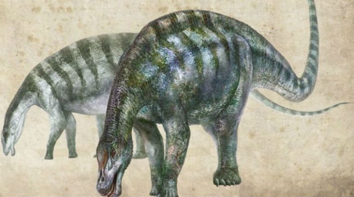 Yanlış yerde yanlış zamanda yeni bir dinozor bulundu