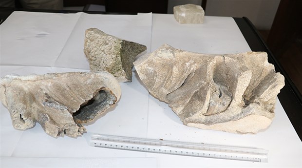 Yozgat'ta 8 milyon yıllık fosil bulundu